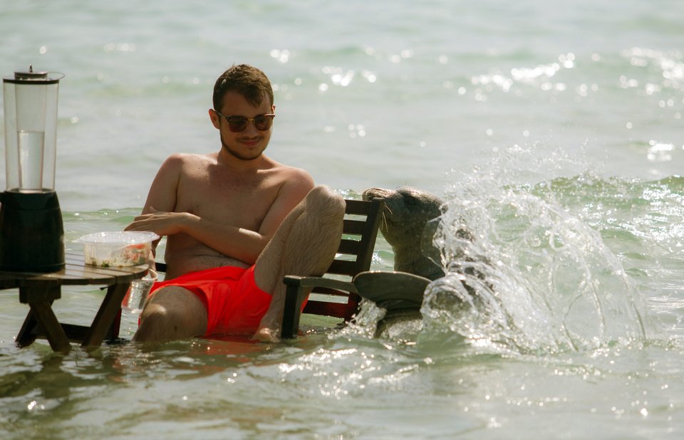 Αρχιπέλαγος: Η «Αργυρώ η Σαμιώτισσα» δεν είναι μασκότ, είναι ένα άγριο ζώο! [εικόνες] | iefimerida.gr 6