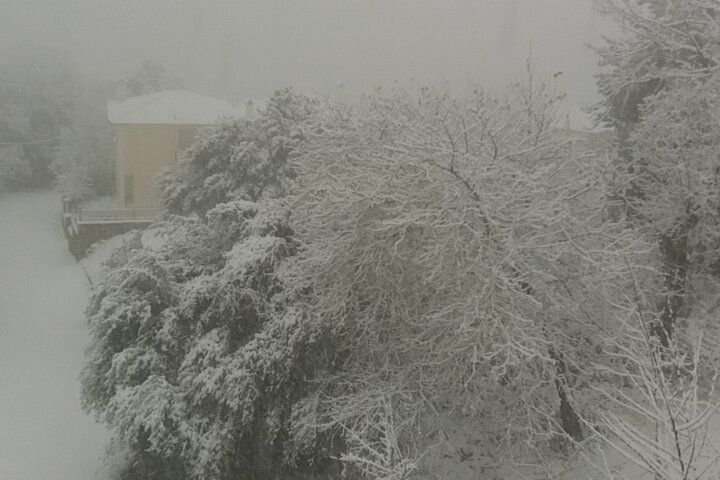 Προβλήματα στην ορεινή Κορινθία από το χιόνι -Πού χρειάζονται αλυσίδες [εικόνες & βίντεο] | iefimerida.gr 0