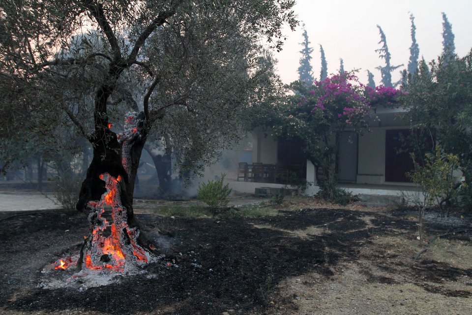 Εφιάλτης στην Εύβοια – Πλησιάζουν στην Λίμνη οι φλόγες, έτοιμη για εκκένωση | iefimerida.gr 1