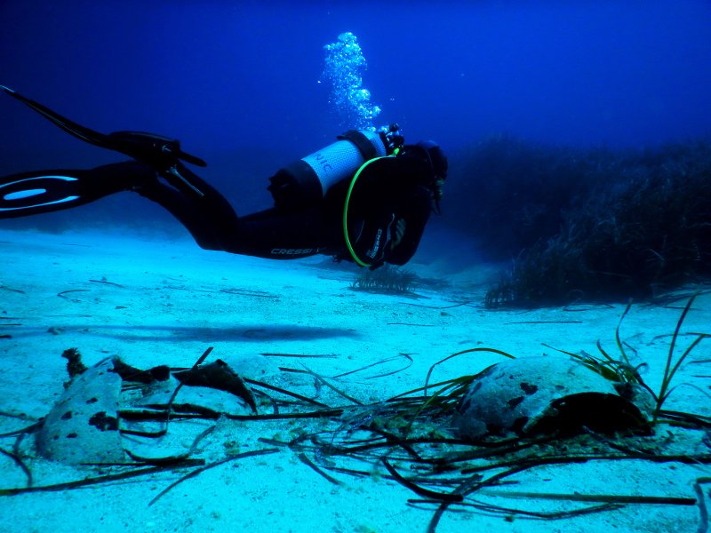 Βουτιές στο «Απέραντο Γαλάζιο» των Κυκλάδων: Καταδύσεις στην Αμοργό [εικόνες] | iefimerida.gr 4