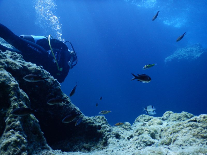 Βουτιές στο «Απέραντο Γαλάζιο» των Κυκλάδων: Καταδύσεις στην Αμοργό [εικόνες] | iefimerida.gr 8