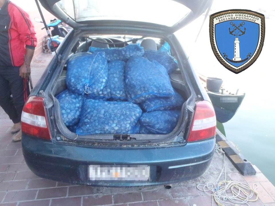 Αλεξανδρούπολη: Ηθελαν να «ρίξουν» στην αγορά σχεδόν έναν τόνο ακατάλληλα όστρακα [εικόνες]  | iefimerida.gr 1