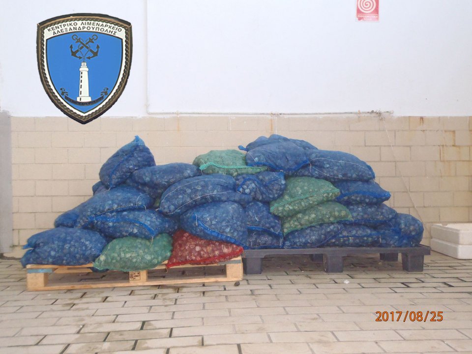 Αλεξανδρούπολη: Ηθελαν να «ρίξουν» στην αγορά σχεδόν έναν τόνο ακατάλληλα όστρακα [εικόνες]  | iefimerida.gr 2