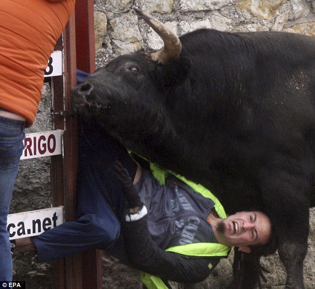 Σοκ στην Ισπανία: Ταύρος γδύνει 20χρονο περαστικό και τον τρυπάει σε όλο του το κορμί [εικόνες] | iefimerida.gr 6