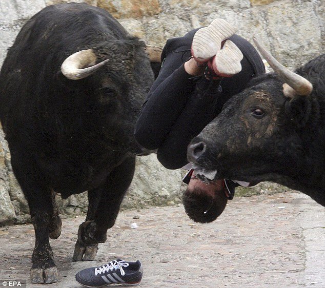 Σοκ στην Ισπανία: Ταύρος γδύνει 20χρονο περαστικό και τον τρυπάει σε όλο του το κορμί [εικόνες] | iefimerida.gr 8