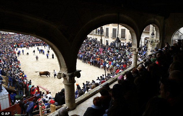 Σοκ στην Ισπανία: Ταύρος γδύνει 20χρονο περαστικό και τον τρυπάει σε όλο του το κορμί [εικόνες] | iefimerida.gr 9