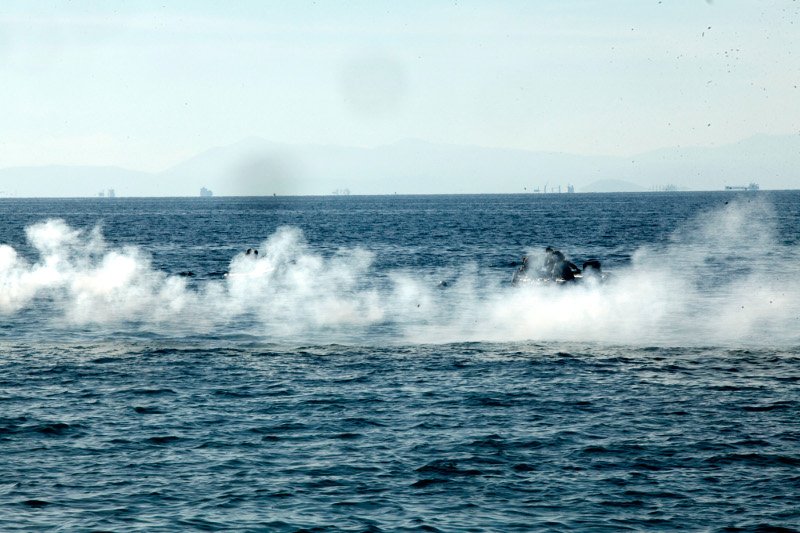 Επίδειξη πολεμικών αεροσκαφών στον Φλοίσβο - Πολίτες έκαναν... ηλιοθεραπεία [εικόνες] | iefimerida.gr 5