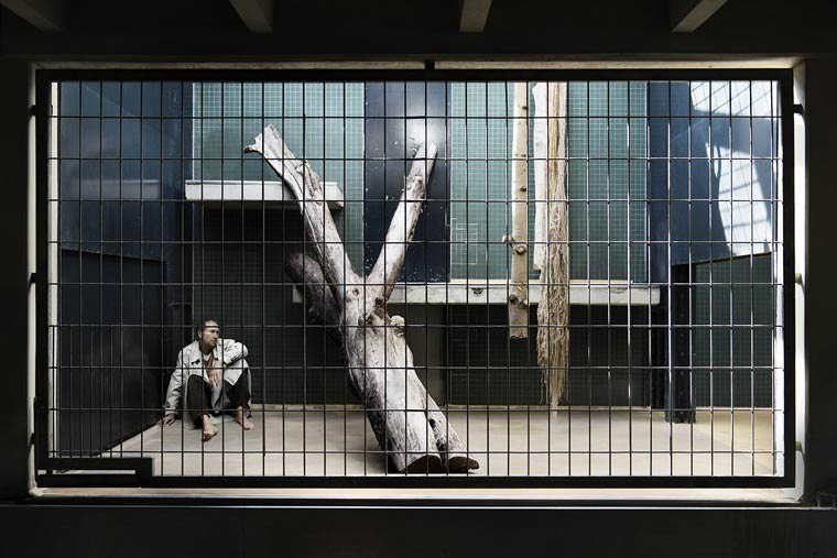 Ζωολογικός κήπος με ανθρώπους: Η φωτογράφιση που σοκάρει [εικόνες] | iefimerida.gr 3