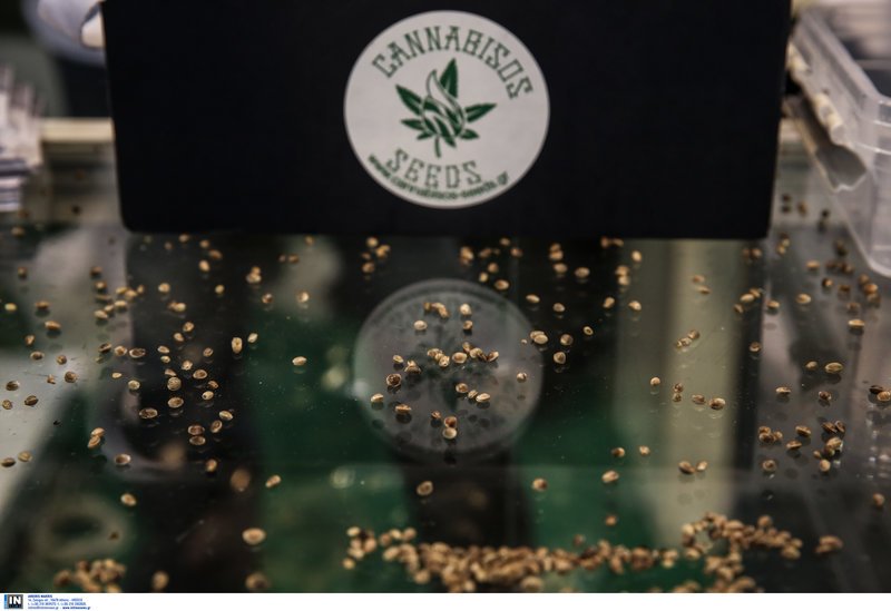 Στο Τάε Κβον Ντο η Διεθνής Εκθεση Κάνναβης στην Ελλάδα [εικόνες] | iefimerida.gr 4