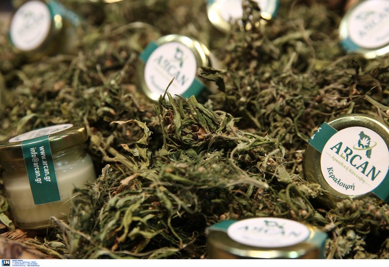 Στο Τάε Κβον Ντο η Διεθνής Εκθεση Κάνναβης στην Ελλάδα [εικόνες] | iefimerida.gr 11