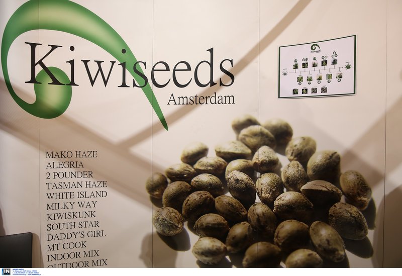 Στο Τάε Κβον Ντο η Διεθνής Εκθεση Κάνναβης στην Ελλάδα [εικόνες] | iefimerida.gr 12