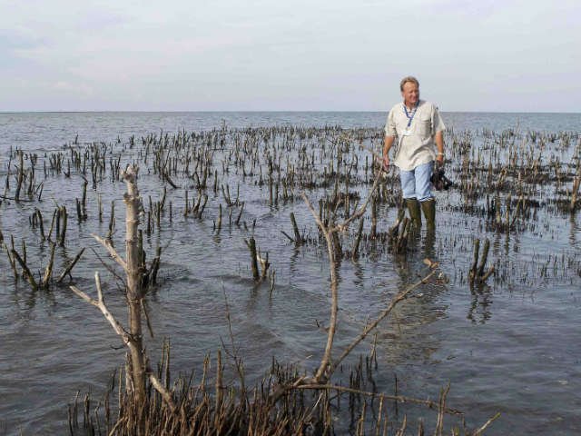 Η πετρελαιοκηλίδα στον κόλπο του Μεξικού εξαφάνισε ολόκληρο νησί [βίντεο] | iefimerida.gr 0
