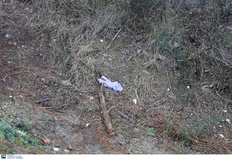 Τραγική εξέλιξη: Νεκρός σε προαύλιο νοσοκομείου στη Θεσσαλονίκη βρέθηκε ο 17χρονος Αλέξανδρος που αγνοείτο [εικόνες] | iefimerida.gr 3