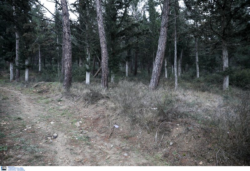 Τραγική εξέλιξη: Νεκρός σε προαύλιο νοσοκομείου στη Θεσσαλονίκη βρέθηκε ο 17χρονος Αλέξανδρος που αγνοείτο [εικόνες] | iefimerida.gr 5