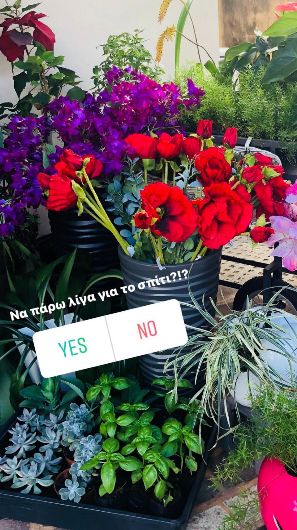 Η Χριστίνα Μπόμπα μας ξεναγεί στα ψαροχώρια του Αγιου Δομίνικου [βίντεο] | iefimerida.gr 0