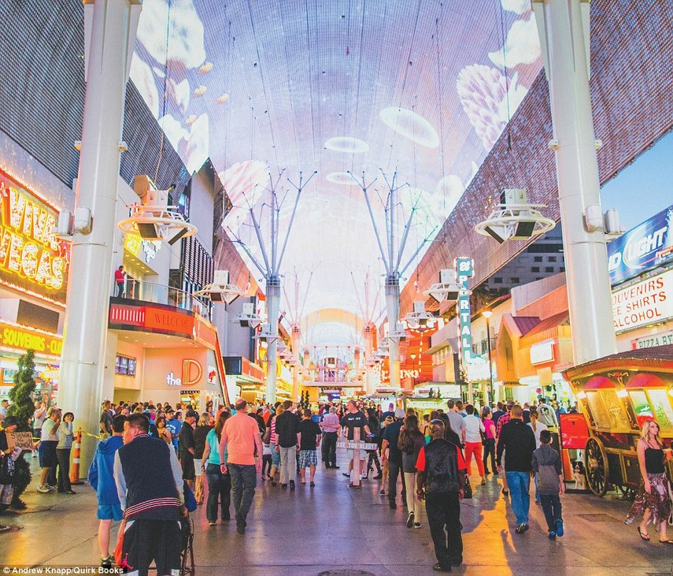 Πού κρύβεται ο Μόμο; Φωτογράφος έκανε παιδικό βιβλίο με το σκύλο του [εικόνες] | iefimerida.gr 6