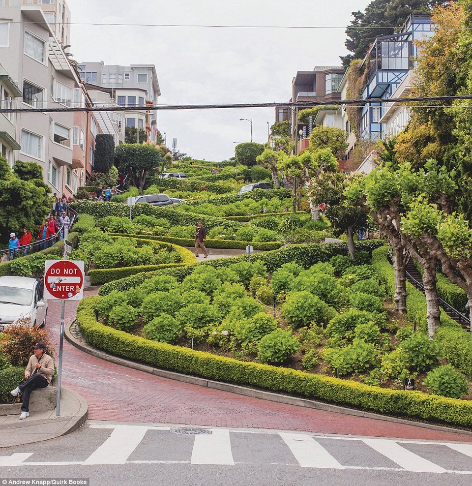 Πού κρύβεται ο Μόμο; Φωτογράφος έκανε παιδικό βιβλίο με το σκύλο του [εικόνες] | iefimerida.gr 5
