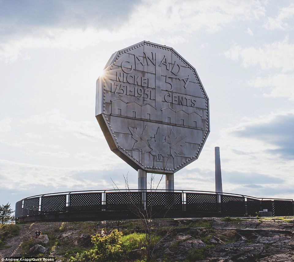 Πού κρύβεται ο Μόμο; Φωτογράφος έκανε παιδικό βιβλίο με το σκύλο του [εικόνες] | iefimerida.gr 4