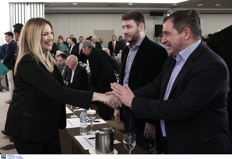 Φώφη: Ανοικτό το ενδεχόμενο συμμετοχής σε κυβέρνηση -Θα το αποφασίσει ο λαός [εικόνες] | iefimerida.gr 7