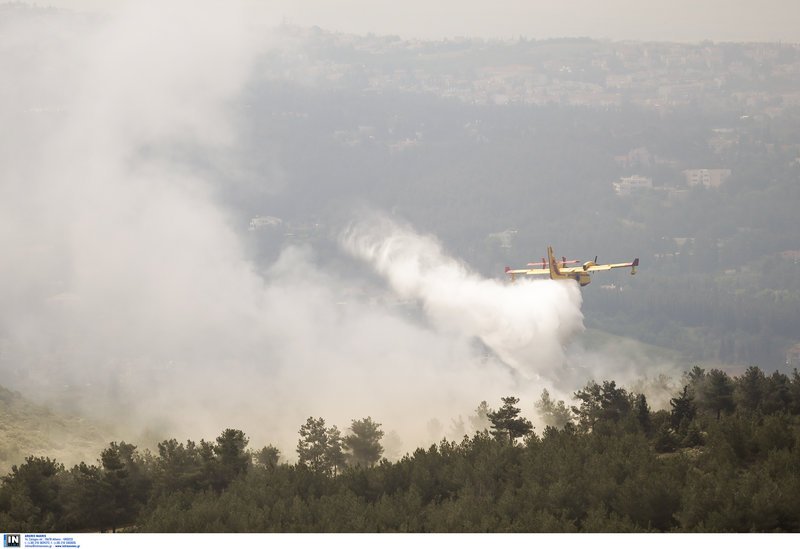 Πυροσβέστες, οχήματα και καναντέρ στο Σέιχ Σου -Ασκηση για αντιμετώπιση φωτιάς [εικόνες] | iefimerida.gr 2