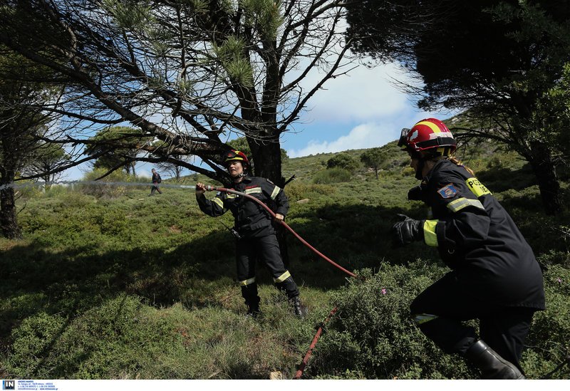 Πυροσβέστες, οχήματα και καναντέρ στο Σέιχ Σου -Ασκηση για αντιμετώπιση φωτιάς [εικόνες] | iefimerida.gr 5