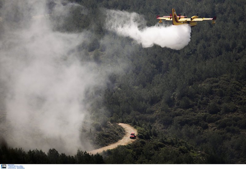 Πυροσβέστες, οχήματα και καναντέρ στο Σέιχ Σου -Ασκηση για αντιμετώπιση φωτιάς [εικόνες] | iefimerida.gr 1