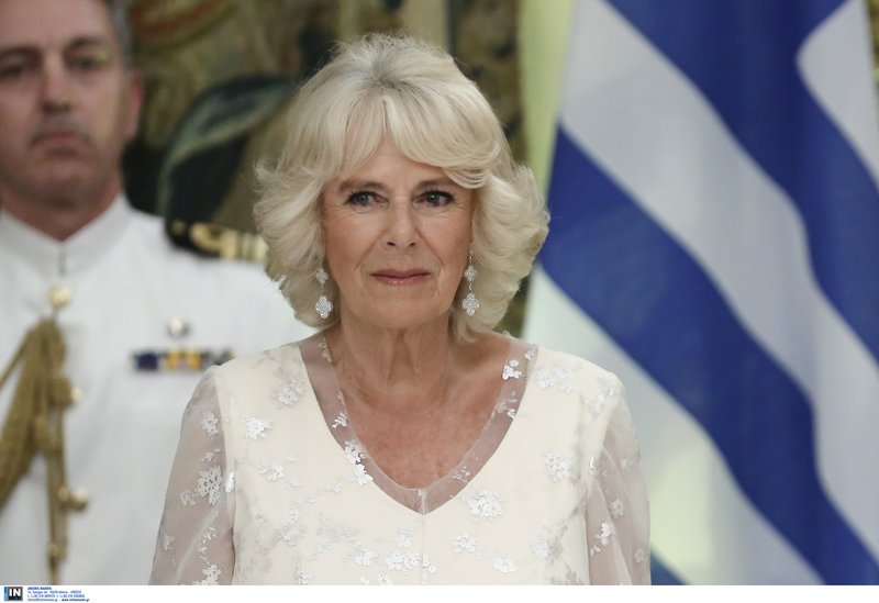 Κατάλευκο, μακρύ, εντυπωσιακό: Ποιος έφτιαξε το φόρεμα της Καμίλα για το δείπνο στο Προεδρικό [εικόνες] | iefimerida.gr 3