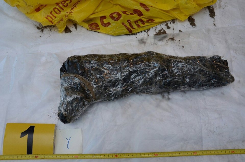 Ο κήπος-οπλοστάσιο στο σπίτι του Πετρακάκου στον Μώλο Φθιώτιδας – Ολα τα ευρήματα [εικόνες] | iefimerida.gr 2