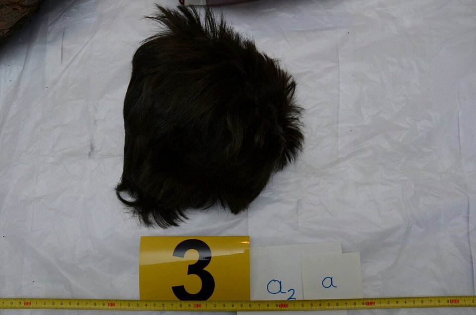 Ο κήπος-οπλοστάσιο στο σπίτι του Πετρακάκου στον Μώλο Φθιώτιδας – Ολα τα ευρήματα [εικόνες] | iefimerida.gr 12