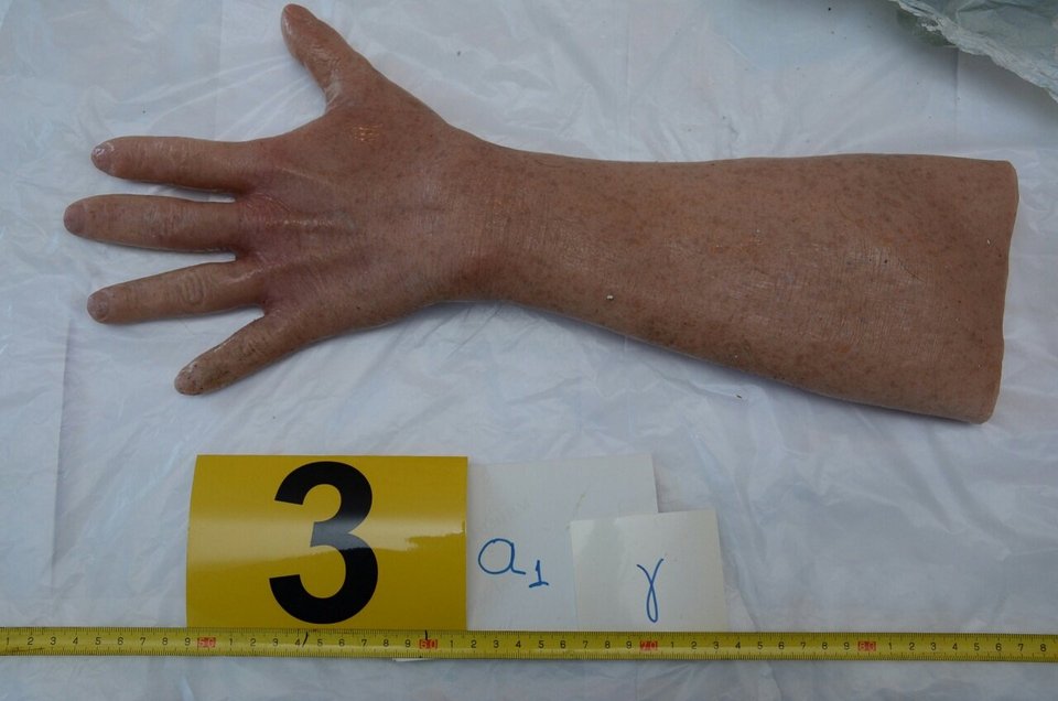 Ο κήπος-οπλοστάσιο στο σπίτι του Πετρακάκου στον Μώλο Φθιώτιδας – Ολα τα ευρήματα [εικόνες] | iefimerida.gr 13