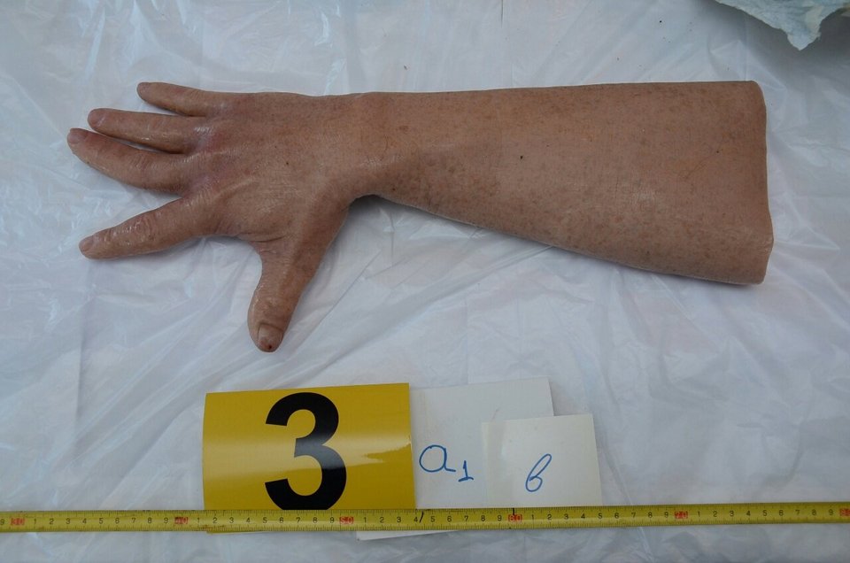 Ο κήπος-οπλοστάσιο στο σπίτι του Πετρακάκου στον Μώλο Φθιώτιδας – Ολα τα ευρήματα [εικόνες] | iefimerida.gr 14