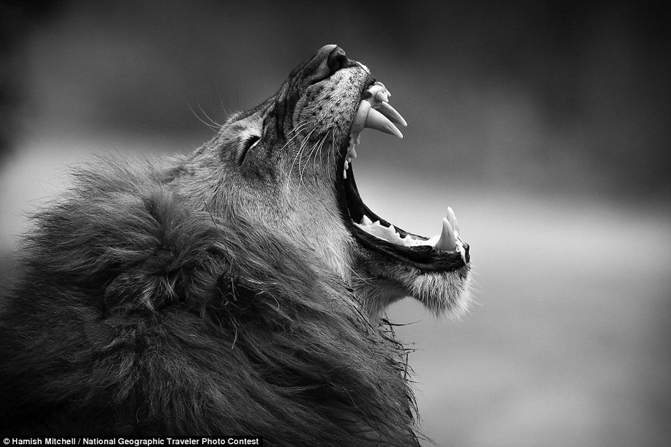 Διαγωνισμός ταξιδιωτικής φωτογραφίας National Geographic -Οι καλύτερες μέχρι τώρα [εικόνες] | iefimerida.gr 11