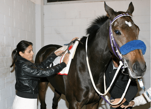 Επτά ιπποδρομίες και «μάχες» γένους θηλυκού σήμερα στο Μαρκόπουλο – Μπρα ντε φερ Καβρουλάκη-Κεράτσα  | iefimerida.gr 1