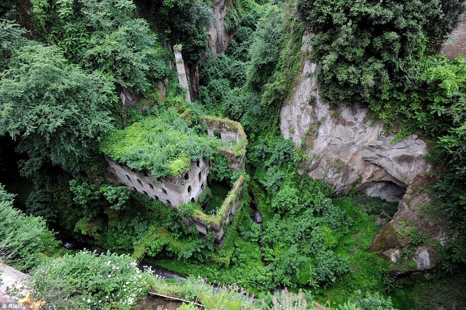 Οταν η φύση καταπίνει τον πολιτισμό: Χωριά και αυτοκίνητα τυλιγμένα στα φυτά [εικόνες] | iefimerida.gr 0