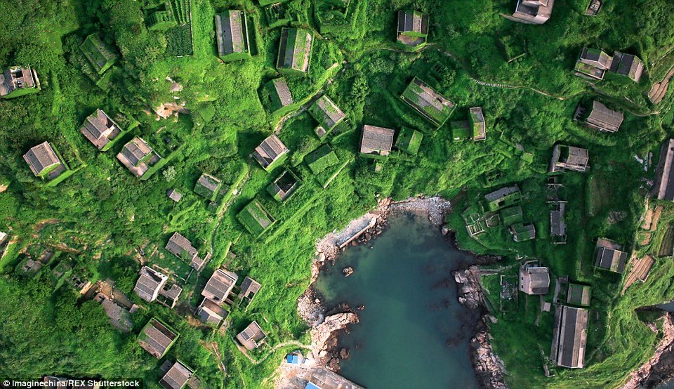 Οταν η φύση καταπίνει τον πολιτισμό: Χωριά και αυτοκίνητα τυλιγμένα στα φυτά [εικόνες] | iefimerida.gr 1