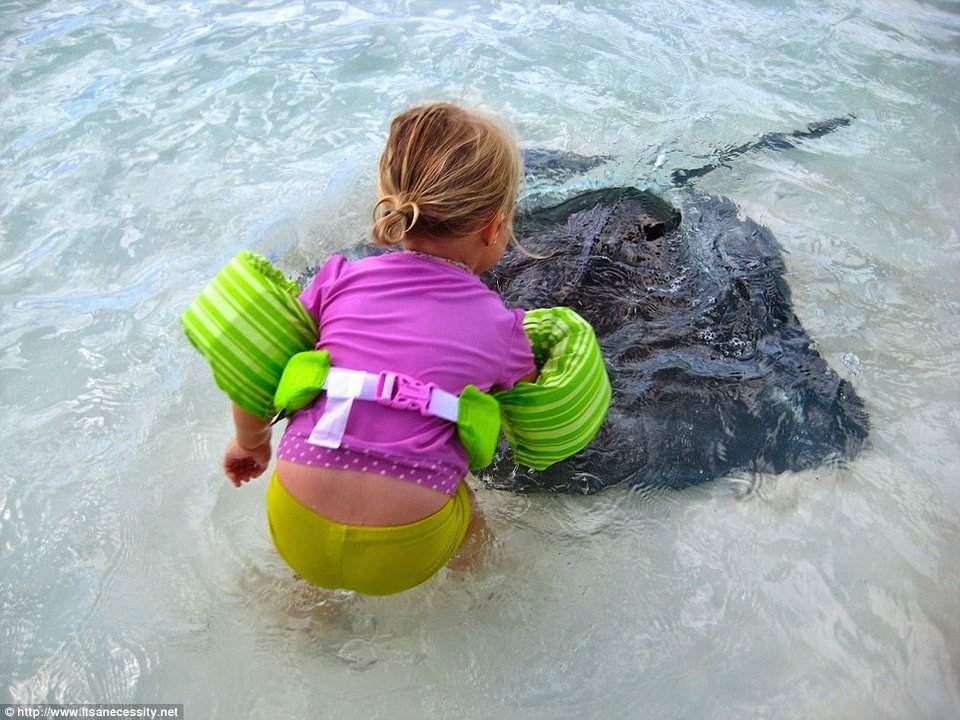 Ενα ζευγάρι τολμά: Κάνει το σκάφος σπίτι του και οργώνει όλο το χρόνο τους ωκεανούς -Μαζί και οι δύο μικρές κόρες τους [εικόνες] | iefimerida.gr 9