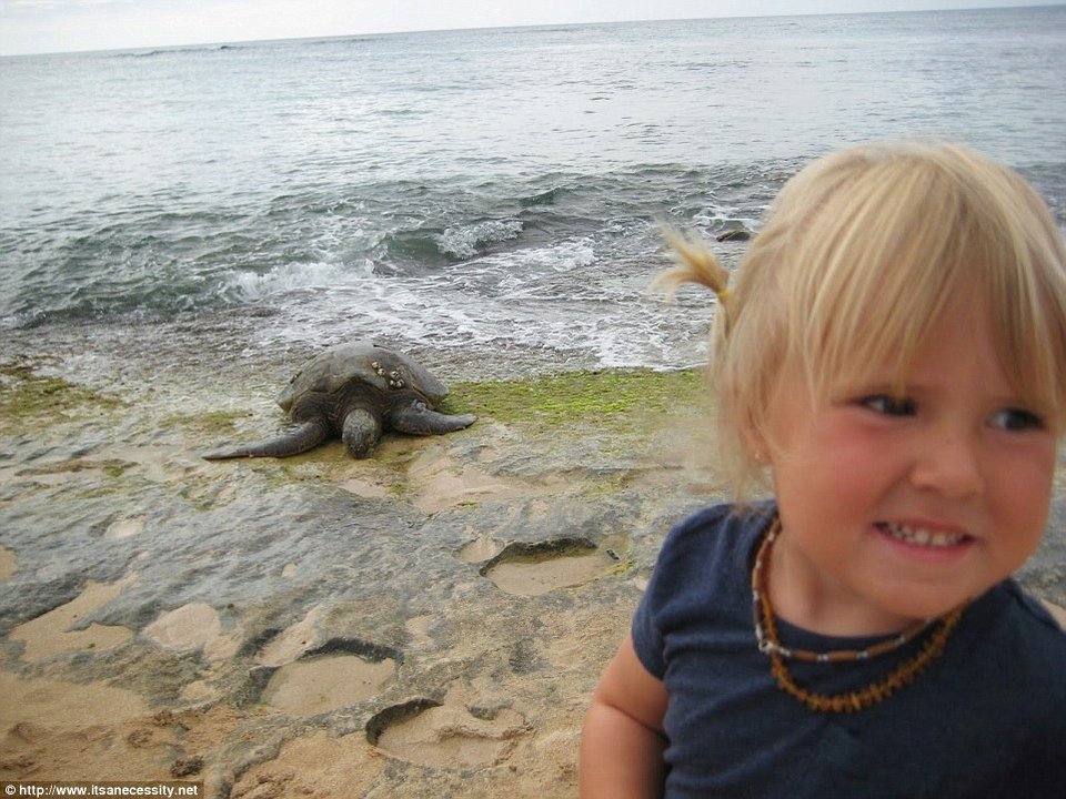 Ενα ζευγάρι τολμά: Κάνει το σκάφος σπίτι του και οργώνει όλο το χρόνο τους ωκεανούς -Μαζί και οι δύο μικρές κόρες τους [εικόνες] | iefimerida.gr 11