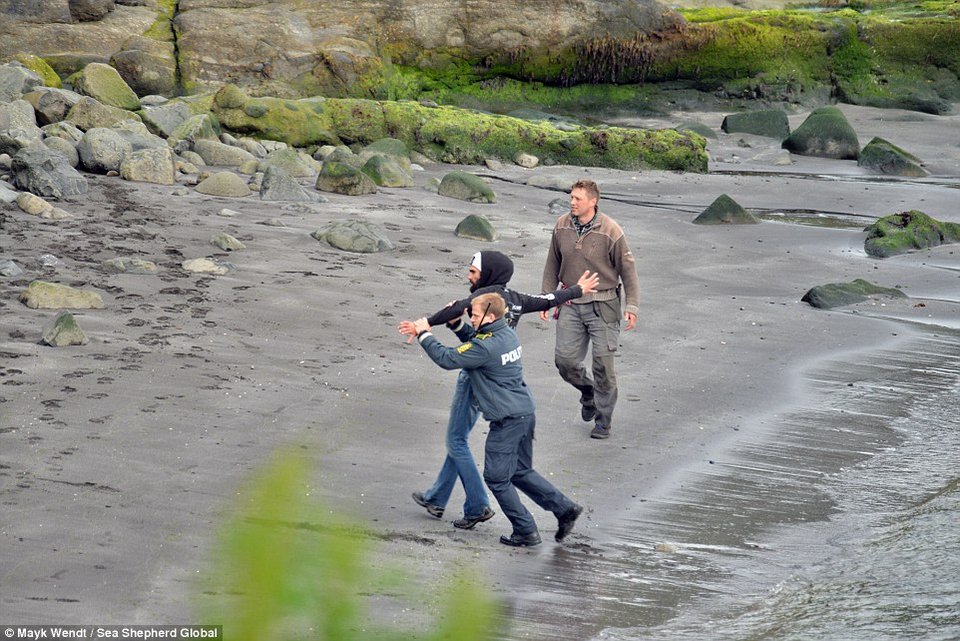 Η θάλασσα βάφτηκε κόκκινη – Σφαγή φαλαινών στα Νησιά Φερόε [εικόνες & βίντεο] | iefimerida.gr 8