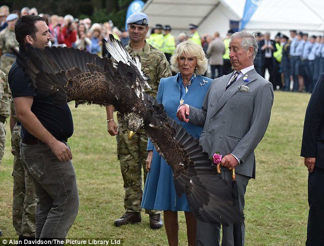 Τεράστιος αετός... επιτέθηκε στον πρίγκιπα Κάρολο της Αγγλίας [εικόνες] | iefimerida.gr 4