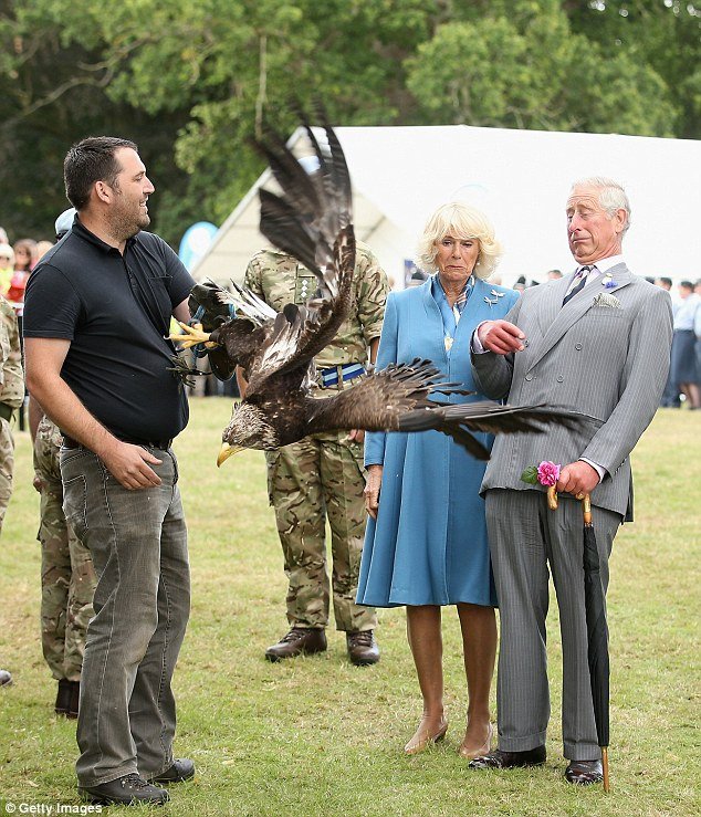 Τεράστιος αετός... επιτέθηκε στον πρίγκιπα Κάρολο της Αγγλίας [εικόνες] | iefimerida.gr 10