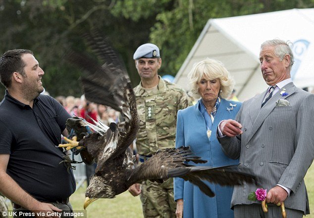 Τεράστιος αετός... επιτέθηκε στον πρίγκιπα Κάρολο της Αγγλίας [εικόνες] | iefimerida.gr 11