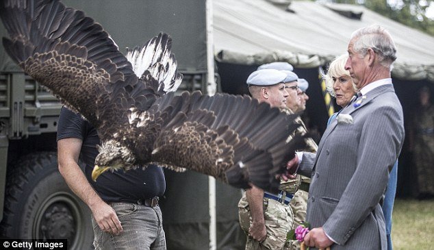 Τεράστιος αετός... επιτέθηκε στον πρίγκιπα Κάρολο της Αγγλίας [εικόνες] | iefimerida.gr 12
