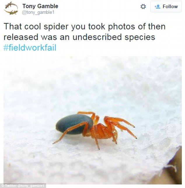 «Κόλλησα σε έναν κροκόδειλο» - Ξεκαρδιστικές γκάφες επιστημόνων έγιναν το νέο trend στο Twitter [εικόνες] | iefimerida.gr 7