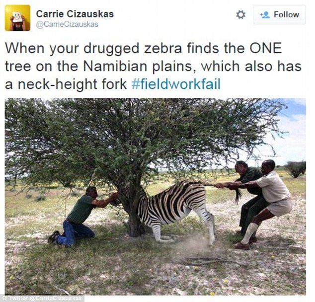 «Κόλλησα σε έναν κροκόδειλο» - Ξεκαρδιστικές γκάφες επιστημόνων έγιναν το νέο trend στο Twitter [εικόνες] | iefimerida.gr 0