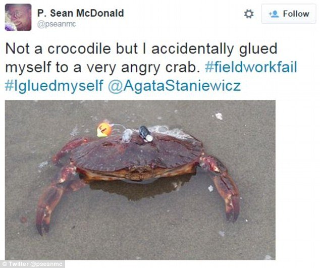 «Κόλλησα σε έναν κροκόδειλο» - Ξεκαρδιστικές γκάφες επιστημόνων έγιναν το νέο trend στο Twitter [εικόνες] | iefimerida.gr 5