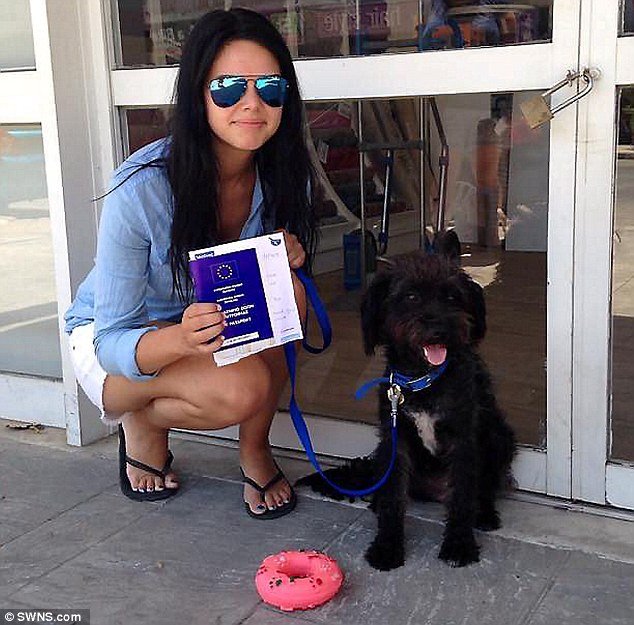 Κρήτη: Αδέσποτο έσωσε Βρετανή και εκείνη το υιοθέτησε [εικόνες] | iefimerida.gr 1