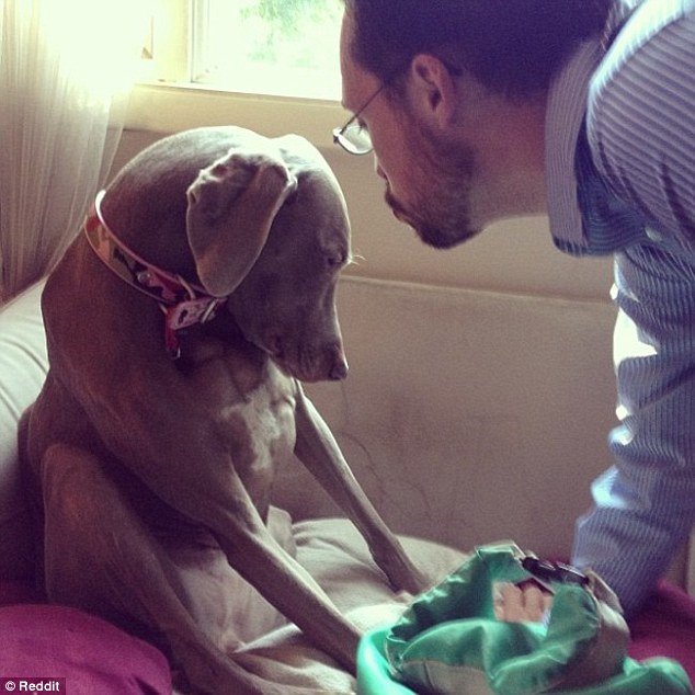 Πάρε με μαζί σου: Κατοικίδια χώνονται στη βαλίτσα για να μην αφήσουν τους ιδιοκτήτες τους να φύγουν [εικόνες] | iefimerida.gr 9