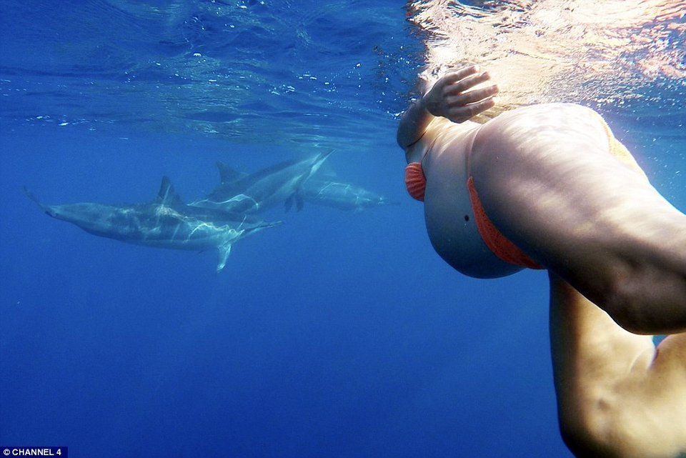 Εγκυος θέλει να γεννήσει στη θάλασσα με τα δελφίνια: Τι φόβους εκφράζουν οι ειδικοί [εικόνες] | iefimerida.gr 4