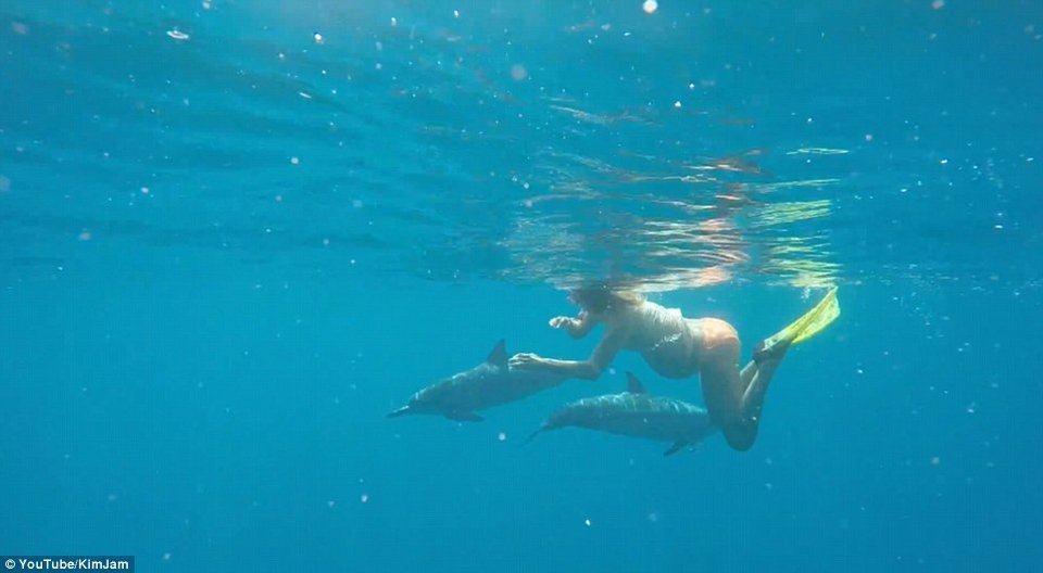 Εγκυος θέλει να γεννήσει στη θάλασσα με τα δελφίνια: Τι φόβους εκφράζουν οι ειδικοί [εικόνες] | iefimerida.gr 6