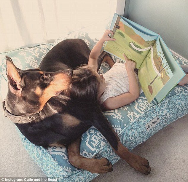 Τετράχρονη λιώνει τα social media κάνοντας αγάπες με το τεράστιο ντόπερμάν της [εικόνες] | iefimerida.gr 11